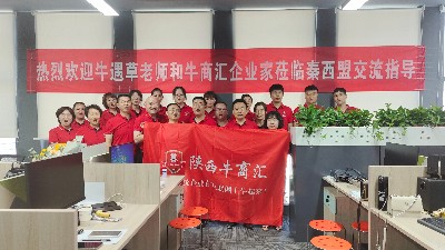 有幸再遇牛遇草同志,網絡營銷扒皮讓定位更明確-未來星靜電地板